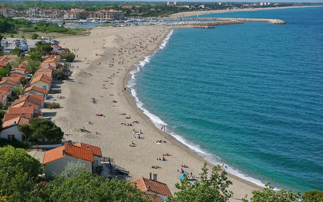 Nouvelles opportunités de terrain